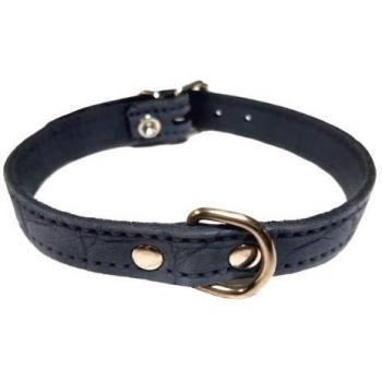 Collar Piel Labrada para Perros Mini