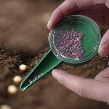 Dispensador de Plantas con 5 Agujeros