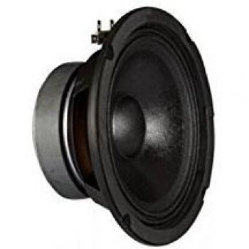 Altavoz woofer FONESTAR FPW100