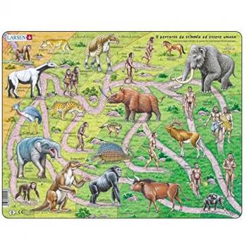 Evolution Primateuse – Larsen HL3-IT – 70 pièces