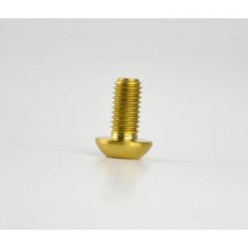 Ensemble de vis de fixation T25 M5 x 10 mm en titane pour rotors de frein à disque VTT (x12)