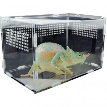 Cricket Voerbox Transparant