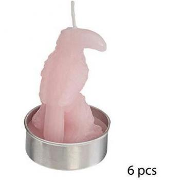 Lot de 6 Bougies à l'Air Tropique Toucan 132G