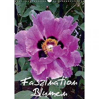 Faszination Blumen