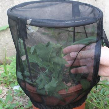 Vegetable and Fruit Shade Bag