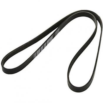 DAYCO Cinghia V a coste 5PK1200