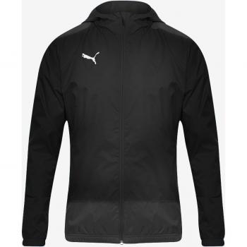 Puma teamGOAL 23 Shorts
