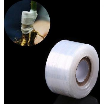 Transparent Stretchable Grafting Tape