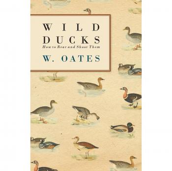 Wild Ducks