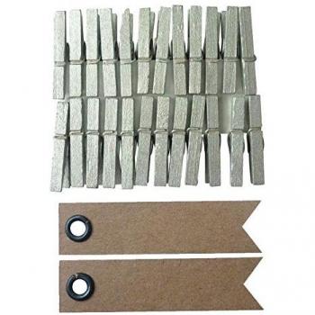 Clothespin & Pennant Combo: 24 Silver Clips, 20 Kraft Labels