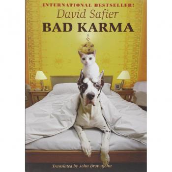 David Safier Bad Karma
