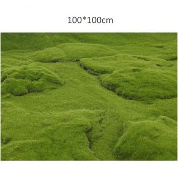 Decorative Moss Lawn