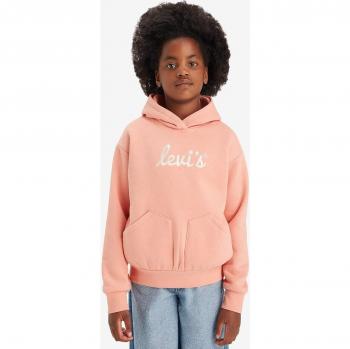 Levi's TerraCotta Youth Hoodie with Poster Logo – 10 Year Old Female