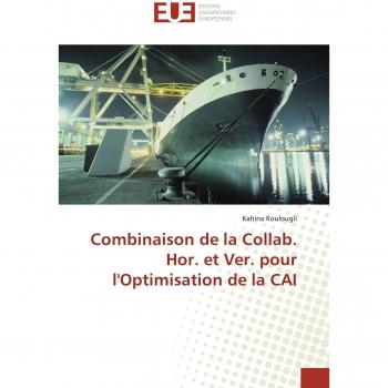 Combinaison de la Collab. Hor. et Ver. pour l'Optimisation de la CAI