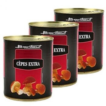 Cèpes Extra Trio – Contenant 455 g