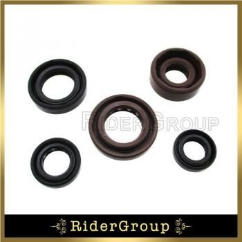 Z190 Engine Oil Seal Set for Zongshen 190cc Dirt Bike