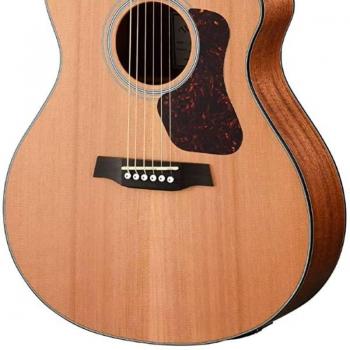 Chitarra Acustica Walden Natura 500