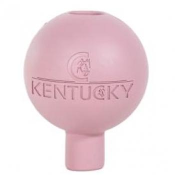 Kentucky Horsewear Stallschutz Gummiball Old Rose
