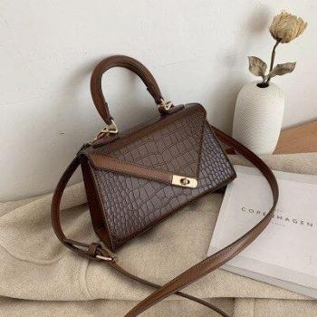 Chic Lock Small Flap Purse