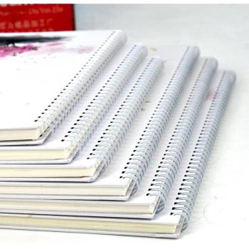 Frühling Buch Ring Draht Bindung 100 Stück