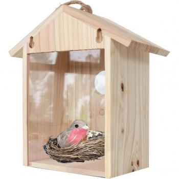 Ventouse Oiseau Jardin : Mangeoire & Nid en Une Seule Solution