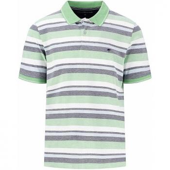 Fynch Hatton Poloshirt in Grün – Herren, Größe: L – Artikelnummer 15031906