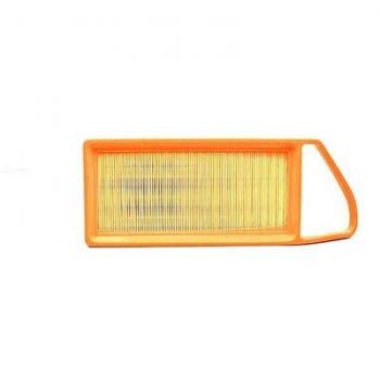 Air Filter Ford BSG 30135010 (Model 30-135-010)
