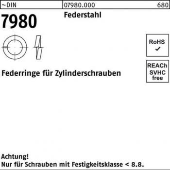 Zylinderschrauben-Federringe aus Stahl Blank – 27 mm (DIN 7980) – 100 Stück