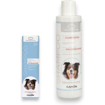 Shampoo Canino Clorexidina Camon 250 ml Pelo Brillante