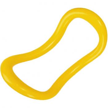SFIT Home Workout Ring