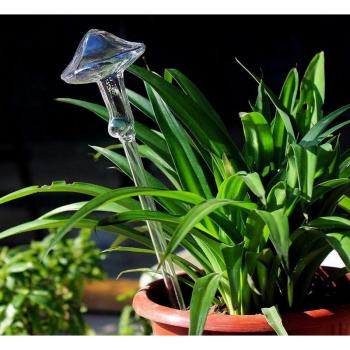 Bird Plant Waterer