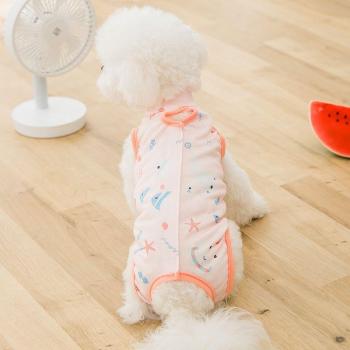 Post-Surgery Pet Recovery Suit