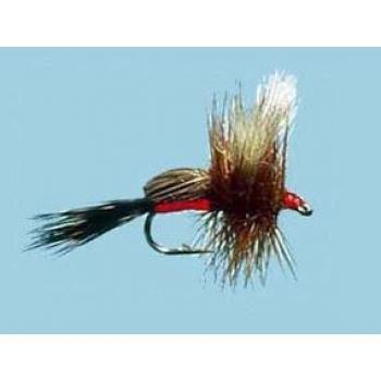 DAM Fishing Spezi Carp Vorfach 10er Set 70cm 0,22mm