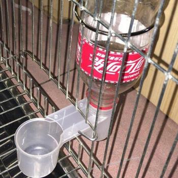 Botella de Agua para Gatos y Pájaros