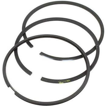 Segments de cylindre Briggs & Stratton 391783