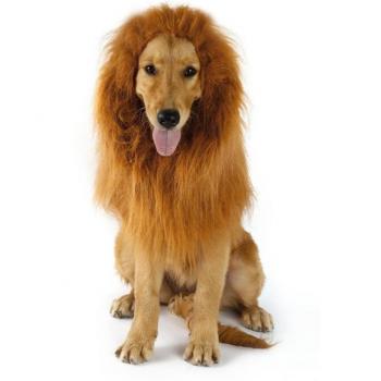 Pet Lion Mane Costume with Ears