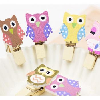 Set de Clips Hiboux 10 pièces – Bois et Couleurs Vives