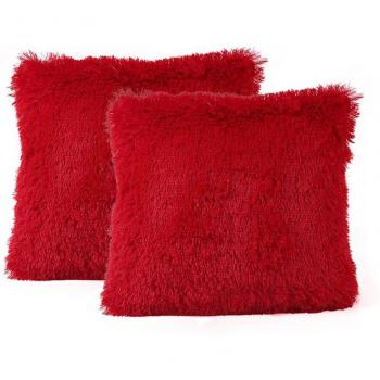 2PC Decorative Pillow Cover