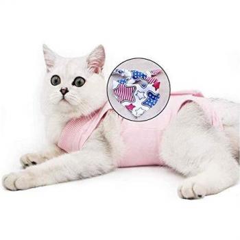 Vêtement de protection post-chirurgicale pour chat