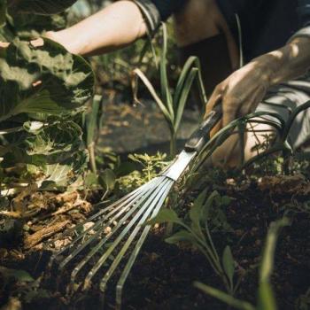 Mango SoftGrip Rastrillo Xact Fiskars