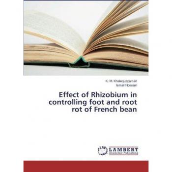 Effect of Rhizobium in controlling foot and root rot of French bean