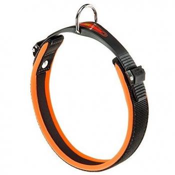 Collare Fluo per Cani con Chiusura a Microregolazione