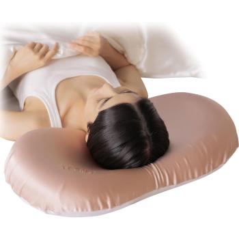 StaticShield Silk Pillowcase
