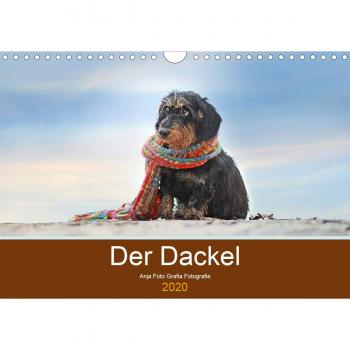 Der Dackel