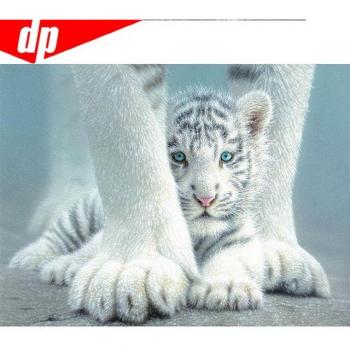 Tigre Chat Diamant Ronde 20x30