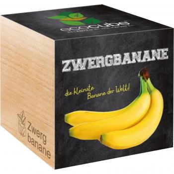 Feel Green ecocube Nain banane