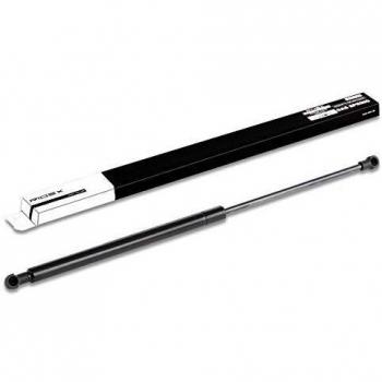 Pistoncini Bagagliaio Ridex 219G0118 5P0827550A 6K0827550 6K0827550A