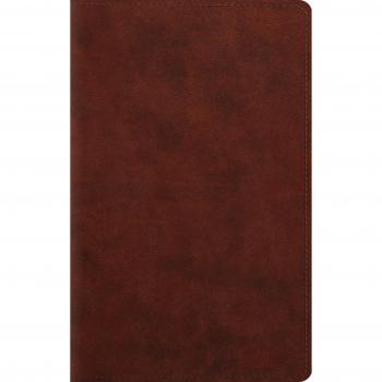 ESV Large Print Personal Size TruTone Chestnut
