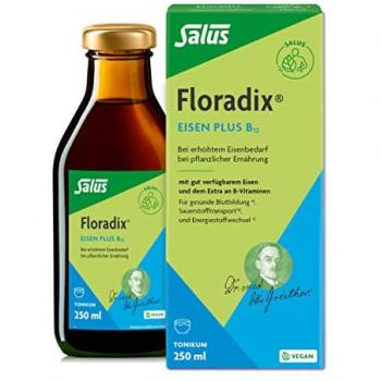 Floradix Eisen plus B12 vegan Tonikum 250ml