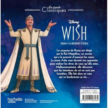 WISH, ASHA ET LA BONNE ÉTOILE